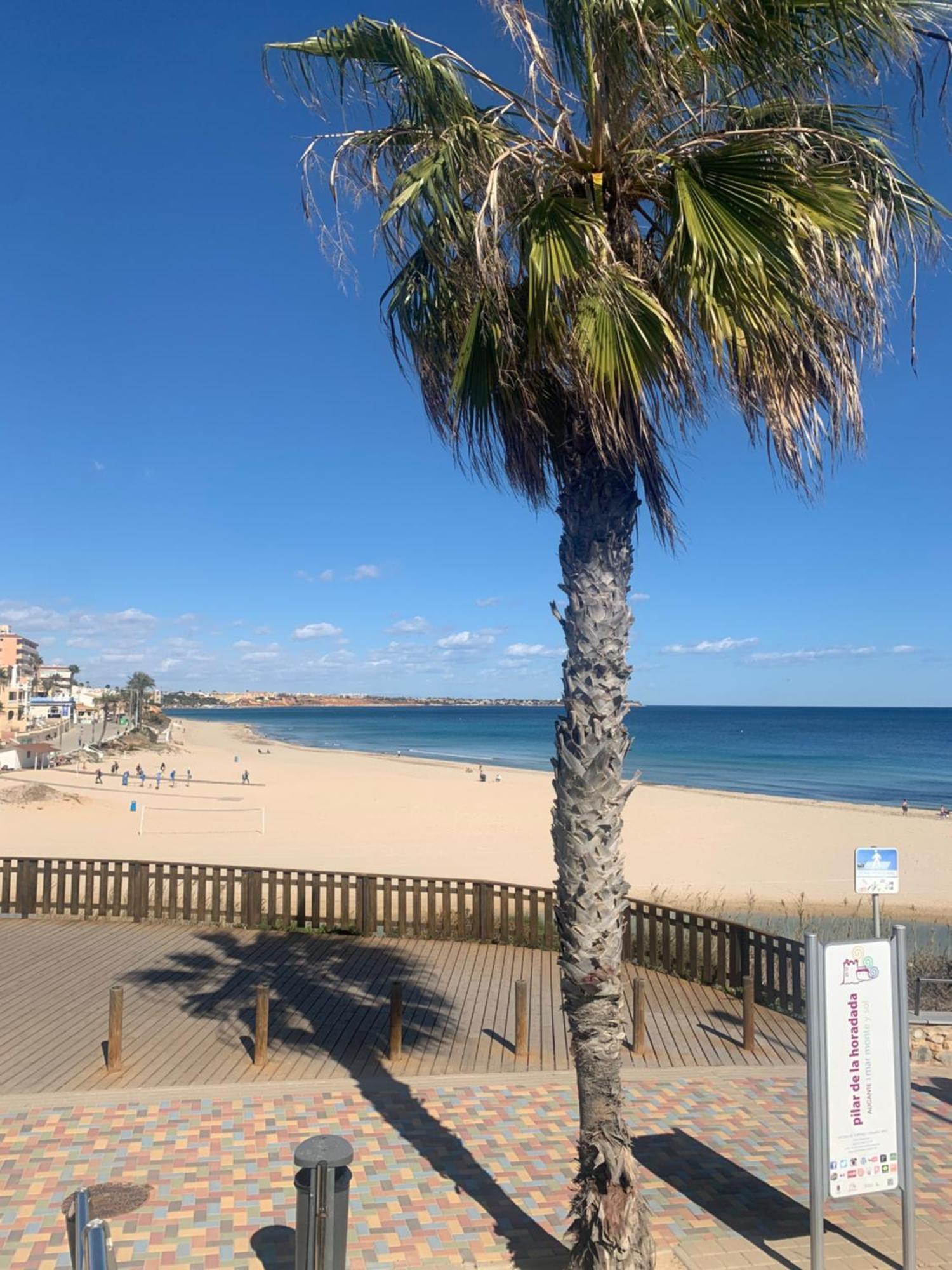 Appartement New With 80m2 Garden Close To Torrevieja Alicante San Miguel De Salinas
